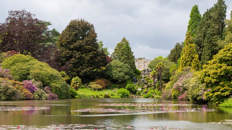 A spring view across a lake with water lilies an rhododendron